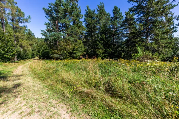 Sendero Montaña Beskid Sadecki Cerca Krynica Zdroj Polonia — Foto de Stock