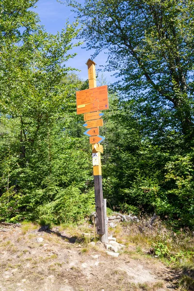 Krynica ポーランド 2020年8月28日 ポーランドのベスキディのハイキングトレイル標識Jworzyna Krynick山へのトレイル方向でサデッキ — ストック写真