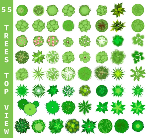 Árvores Diferentes Vista Superior Vista Cima Conjunto Para Arquitetura Paisagem — Vetor de Stock