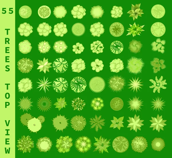 Diferentes Árboles Vista Superior Vista Desde Arriba Para Diseño Arquitectónico — Archivo Imágenes Vectoriales