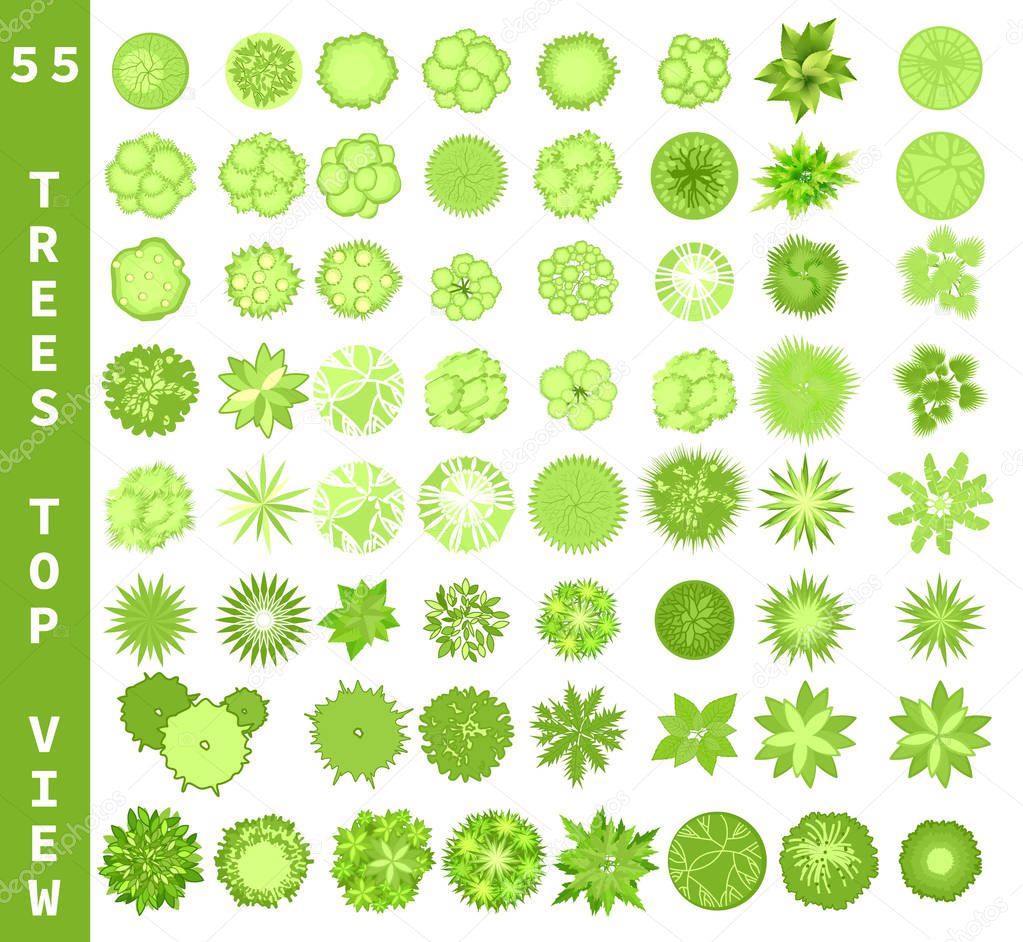 Different trees top view. View from above set for architectural and landscape natural green space design. Vector
