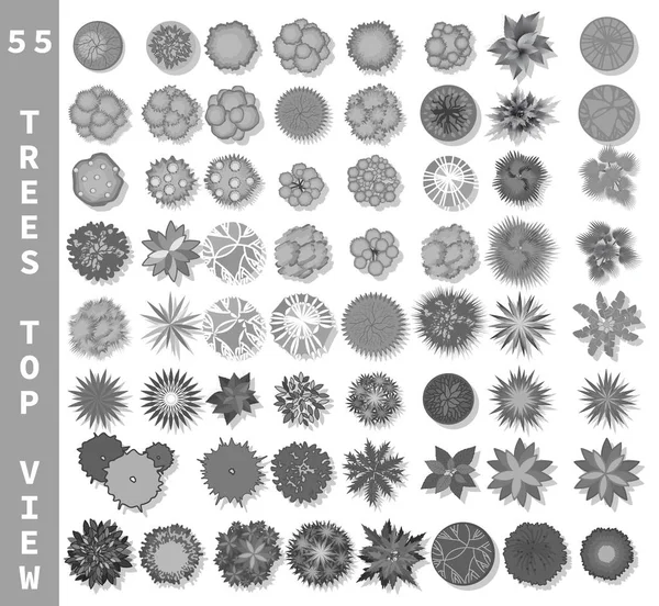 Différents Arbres Vue Dessus Vue Dessus Pour Conception Architecturale Paysagère — Image vectorielle