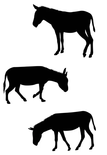 Juego Siluetas Burros Vector — Vector de stock