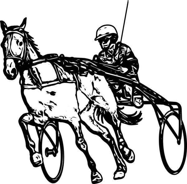 Trotter Harness Drawing Vektor - Stok Vektor