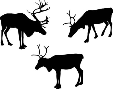 reindeer or caribou silhouettes - vector clipart