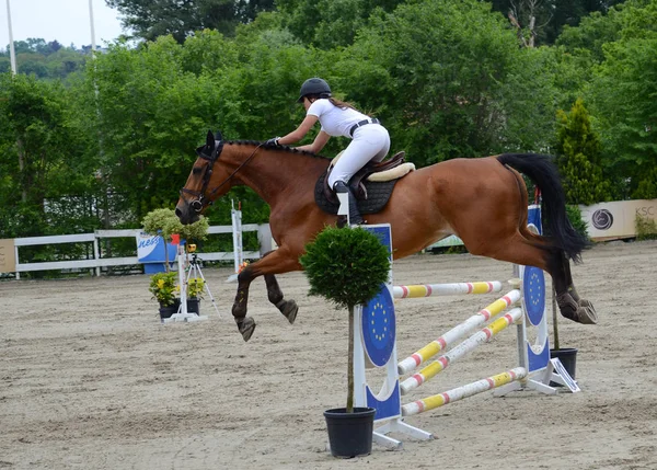 Belgrade May Competition Show Jumping Competitor Jumps Barrier May 2019 — Stock Photo, Image