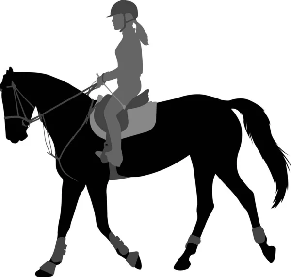 Λεπτομερής σιλουέτα της νεαρής θηλυκό ιππασία κομψό άλογο — Διανυσματικό Αρχείο