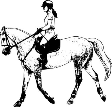 Genç bayan zarif bir at üzerinde çizim yapıyor.