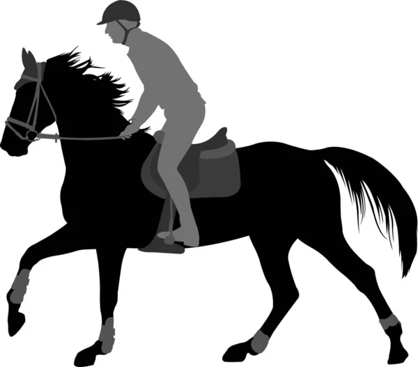 Silueta de alta calidad de hombre joven a caballo — Vector de stock