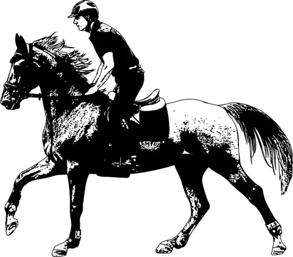 Jong paardrijden elegant paard schets illustratie — Stockvector