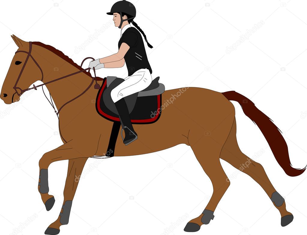 young woman riding horsecolor illustration. Equestrian sport. Eq