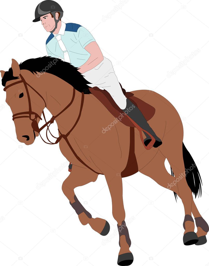 young horseman riding elegant horse color illustration