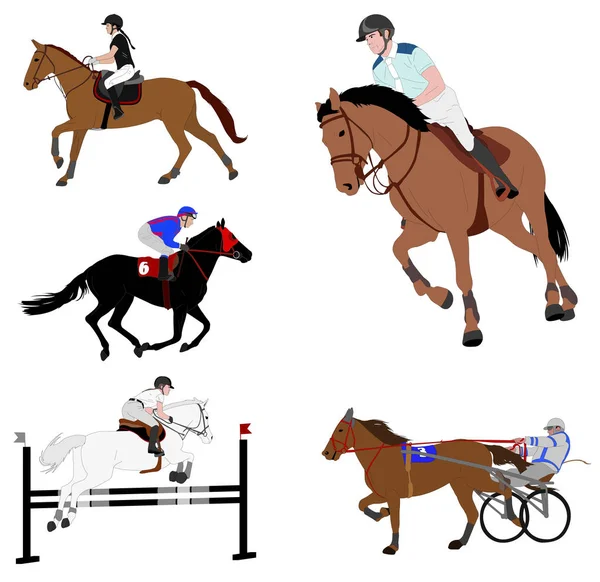 Binicilik sporları. dressage, atlama gösterisi, dörtnala, koşum yarışı — Stok Vektör