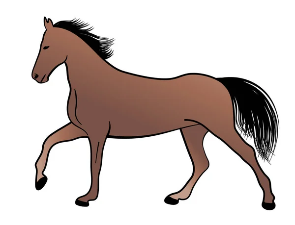 Paard, kleur illustratie — Stockvector