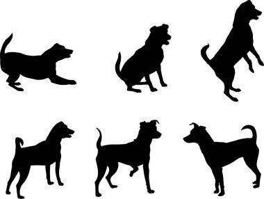 Mini pinscher köpek siluetleri - vektör çizimi