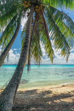 Cennet görünümü Rangiroa Atoll, Fransız Polinezyası