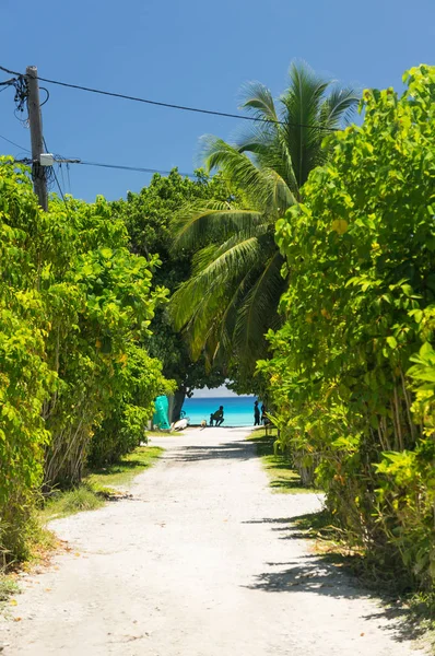 Paradise View Rangiroa Atoll French Polynesia — Stock Photo, Image