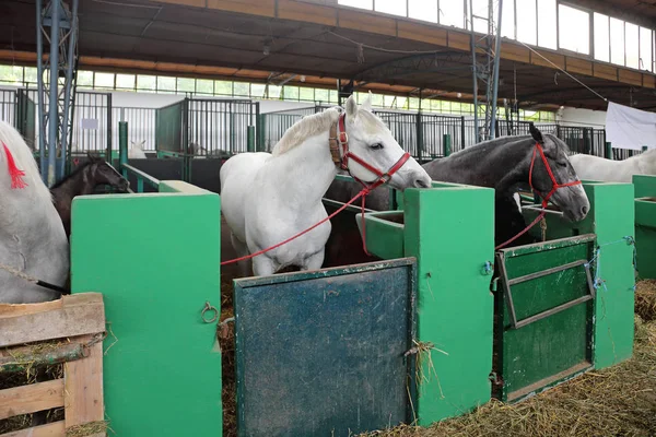 Kutusundaki Tezgahları Içinde Istikrarlı Bir — Stok fotoğraf