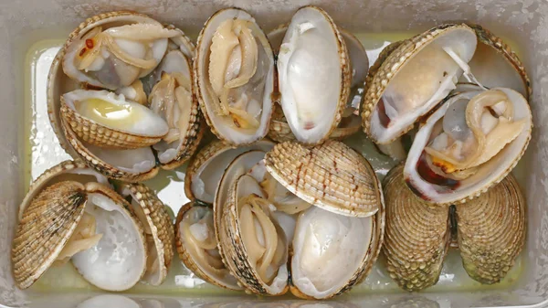 Vongole Моллюсков Морепродукты Пластиковой Коробке — стоковое фото