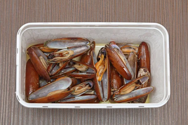 Date Clams Sea Food Plastic Box — Stock Photo, Image