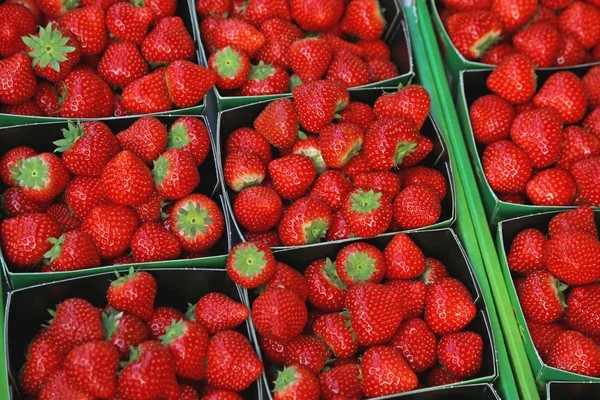 Căpșuni Proaspete Tăvi Mici Vânzare — Fotografie, imagine de stoc