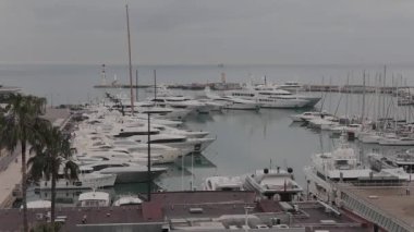 Teknelerden ve Cannes Marina daki Lüks Yatlar