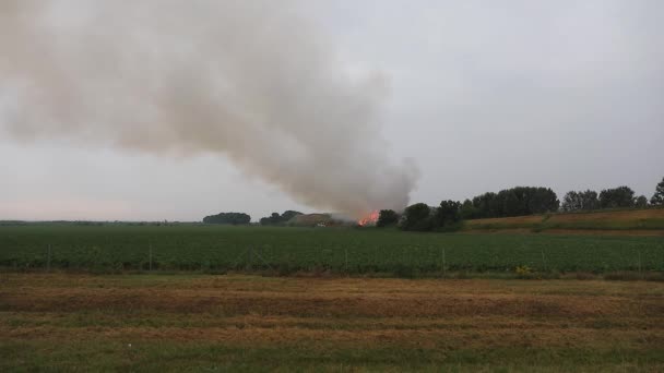 Brand Vuilnisbelt Van Stortplaats Met Zware Rook Vervuiling — Stockvideo