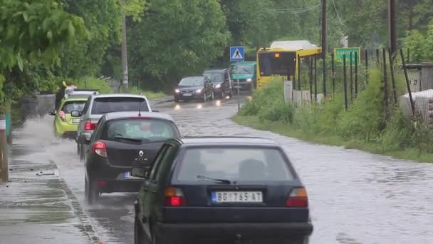 Βελιγράδι Σερβία Μαΐου 2014 Αυτοκίνητα Οδήγηση Μέσα Από Πλημμυρισμένο Δρόμο — Αρχείο Βίντεο