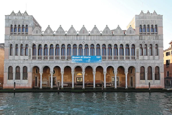 Venice Itália Dezembro 2012 Edifício Museu História Natural Grande Canal — Fotografia de Stock