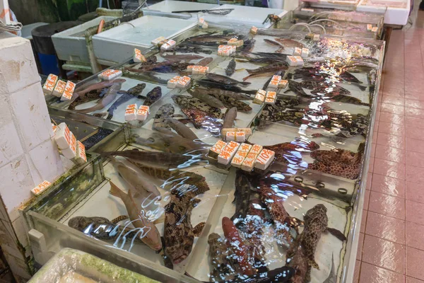 Pesce Vivo Fresco Mercato Degli Agricoltori Hong Kong — Foto Stock