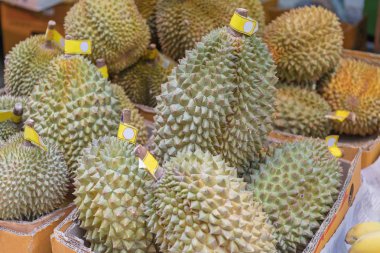 Durian tropikal meyve pazarında büyük demet