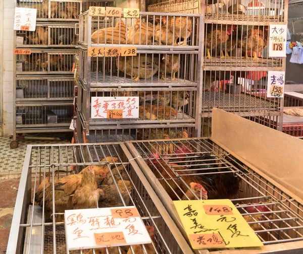 Live Chickens in Cages at Poultry Shop at Local Market in China