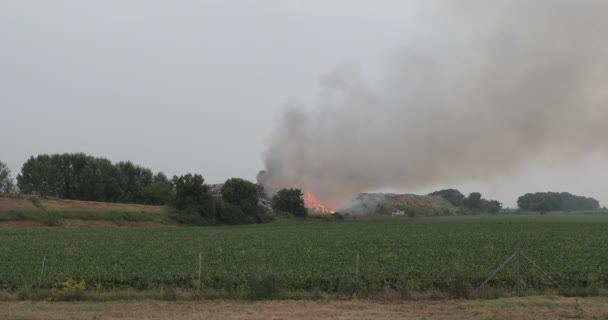 Storten Van Vuur Rook Van Verontreiniging Vuilnisbelt — Stockvideo