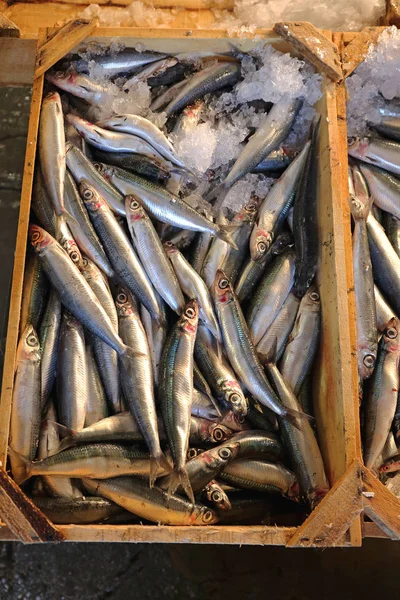 Fresh Sprat Catch Fish Market — Stock Photo, Image