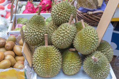 Durian tropikal meyve pazarında büyük demet