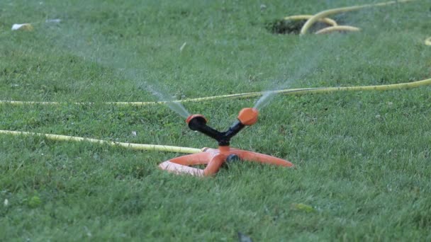 Wassersprenger Dreht Sich Auf Rasenrasen Garten — Stockvideo