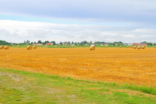 Rolling Haystacks Agriculture Field Crops — Stock Photo, Image