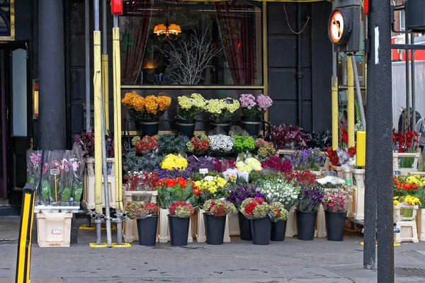 通りの角のビルの前で花を販売 — ストック写真