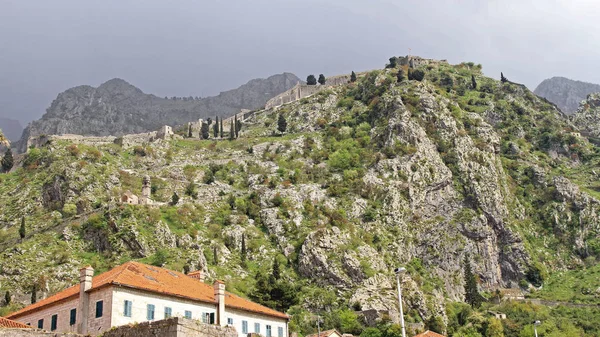 โบสถ คกลางและปราสาทท ยอดเขาเหน Kotor Montenegro — ภาพถ่ายสต็อก