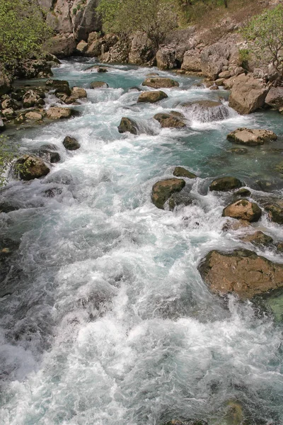 Beyaz Nehri Akışı Karadağ Dağlarda — Stok fotoğraf