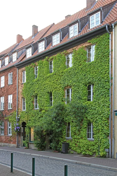 Πράσινο Προσοψη Κάθετη Φυτά Κάλυψης Σπίτι Κτίριο — Φωτογραφία Αρχείου
