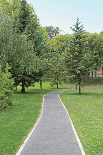 Sentiero Piedi Nel Parco Verde Della Città — Foto Stock