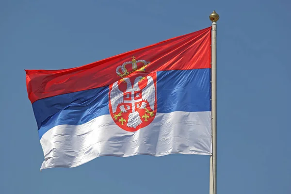 Flaf Serbien Med Vita Örnar Och Krona — Stockfoto