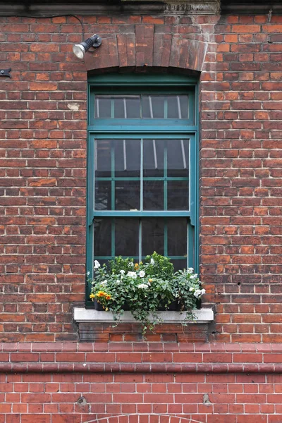 Jedno Okno Květinami Červených Cihel House Londýně — Stock fotografie