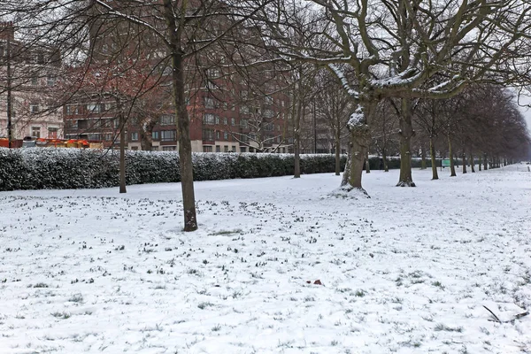 Duży Śnieg Sezonie Zimowym London Hyde Park — Zdjęcie stockowe