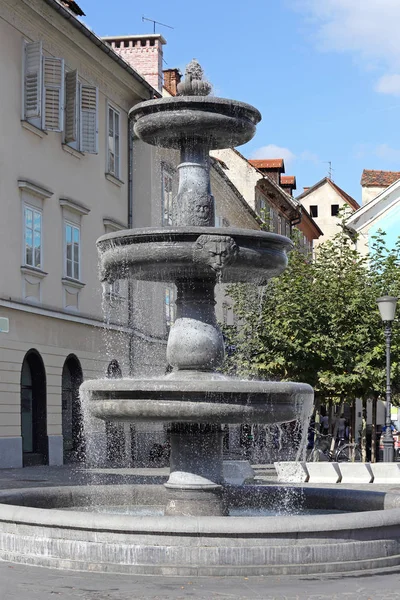 Fontana Piazza Nuova Lubiana Slovenia — Foto Stock
