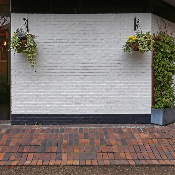 Білі Стіни Висячими Квіткові Горщики Прикраса — стокове фото
