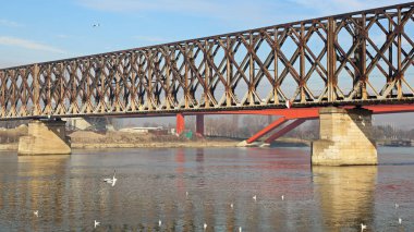 Belgrad'da eski çelik demiryolu köprüsü üzerinde nehir Sava
