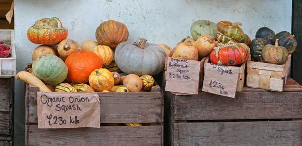 Pumpkins Squashes Ssale Farmers Market — стокове фото