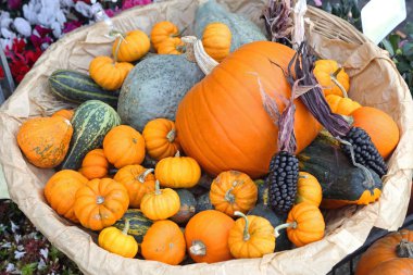 Kabaklar ve Gourds Halloween sepeti doğal dekorasyon için